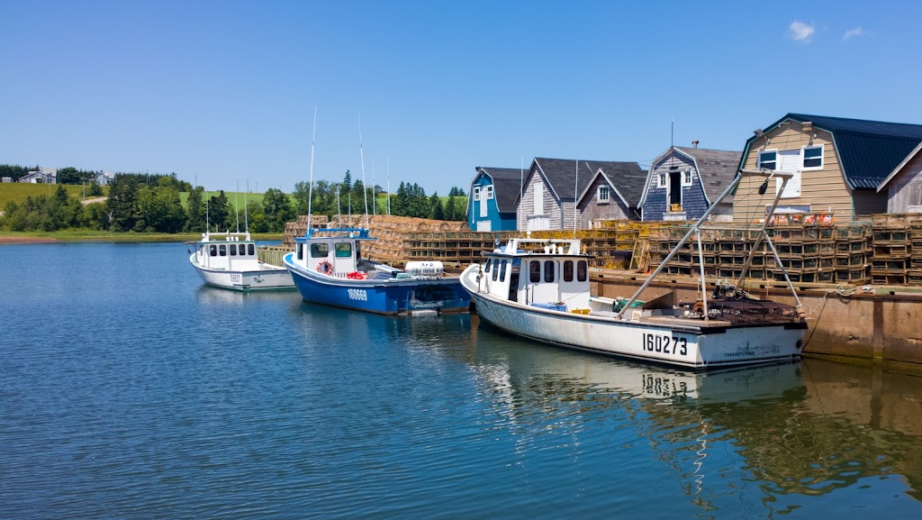 Cole Mussel Farms | New London Wharf, Kensington, PE C0B 1M0, Canada | Phone: (902) 886-2023