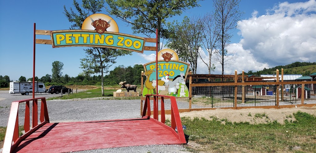 The Big Apple Petting Zoo | 262 Orchard Rd, Colborne, ON K0K 1S0, Canada | Phone: (905) 355-2574