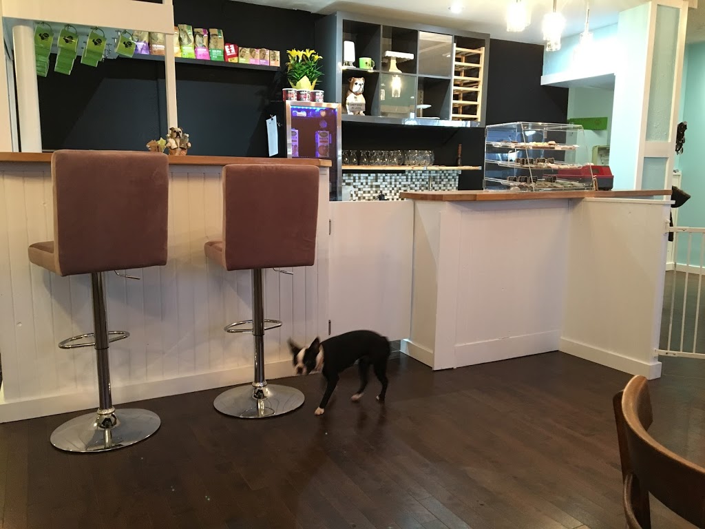 République de Chiots / Puppy Republic | 277 Boulevard Saint-Jean-Baptiste, Châteauguay, QC J6K 3C4, Canada | Phone: (514) 409-0982