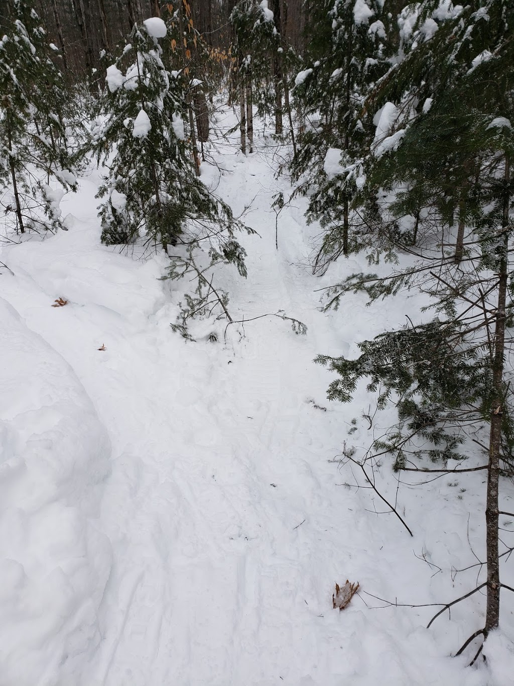 Lac Jérôme Natural Park | Saint-Jérôme, QC J7Y 5H4, Canada