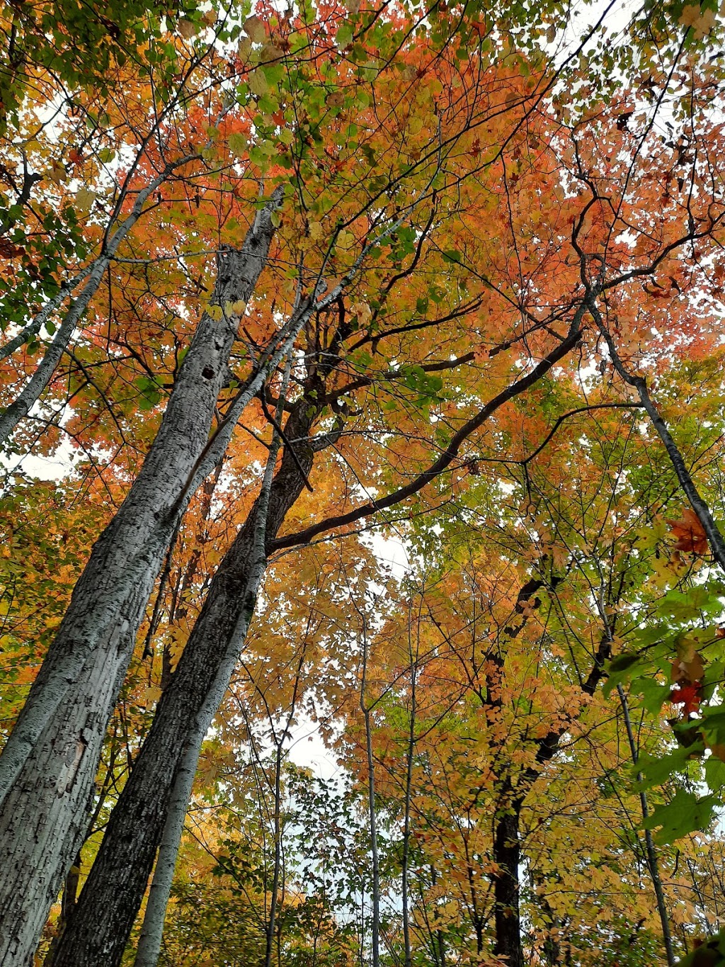 High Lonesome Nature Reserve | 867 Carbine Rd, Pakenham, ON K0A 2X0, Canada | Phone: (613) 253-2722