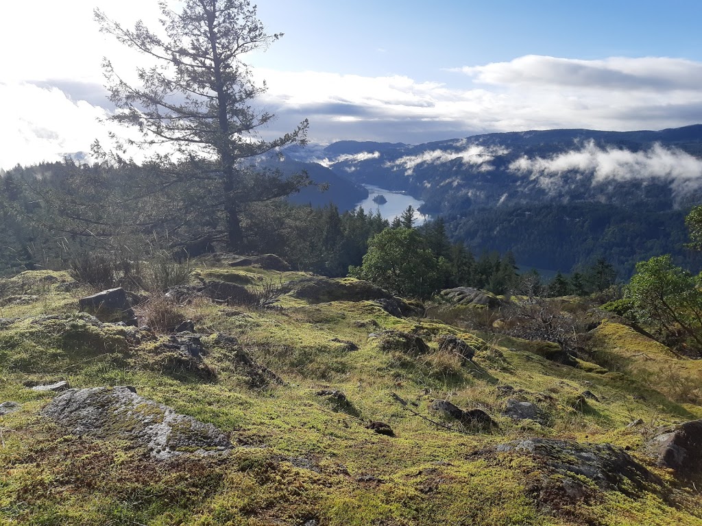 Jocelyn Hill Trailhead | 700 Emma Dixon Rd, Victoria, BC V9B 6J3, Canada