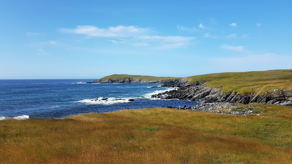 Newfoundland Ecological Reserve | NL-10, Portugal Cove South, NL A0A 4B0, Canada | Phone: (709) 438-1100