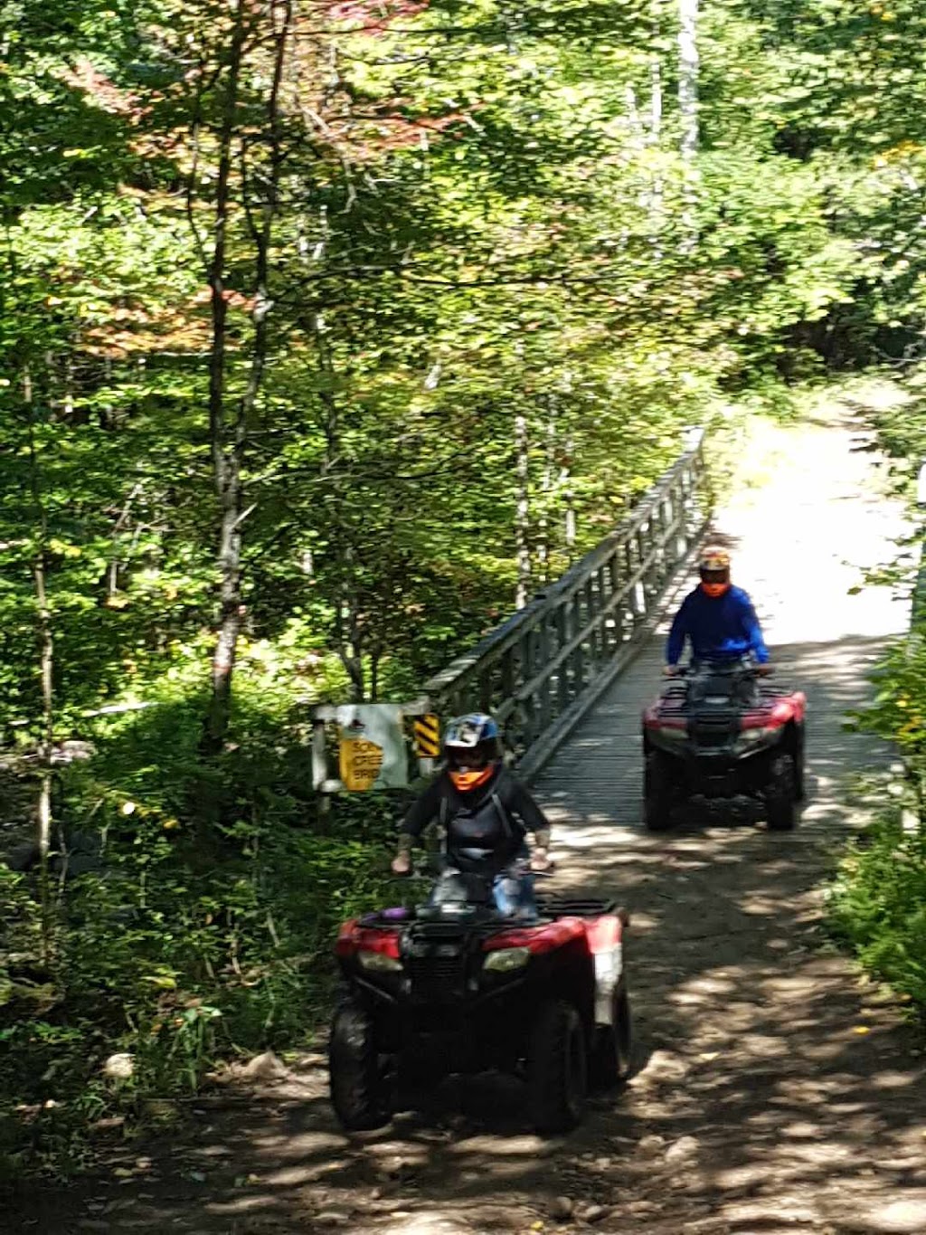 Back Country Tours Inc. | 48 Highland St, Haliburton, ON K0M 1S0, Canada