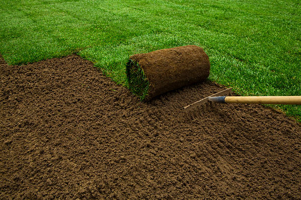 Landscaping Lindsay Property Services | 263 Victoria Ave N, Lindsay, ON K9V 6B8, Canada | Phone: (705) 934-5263