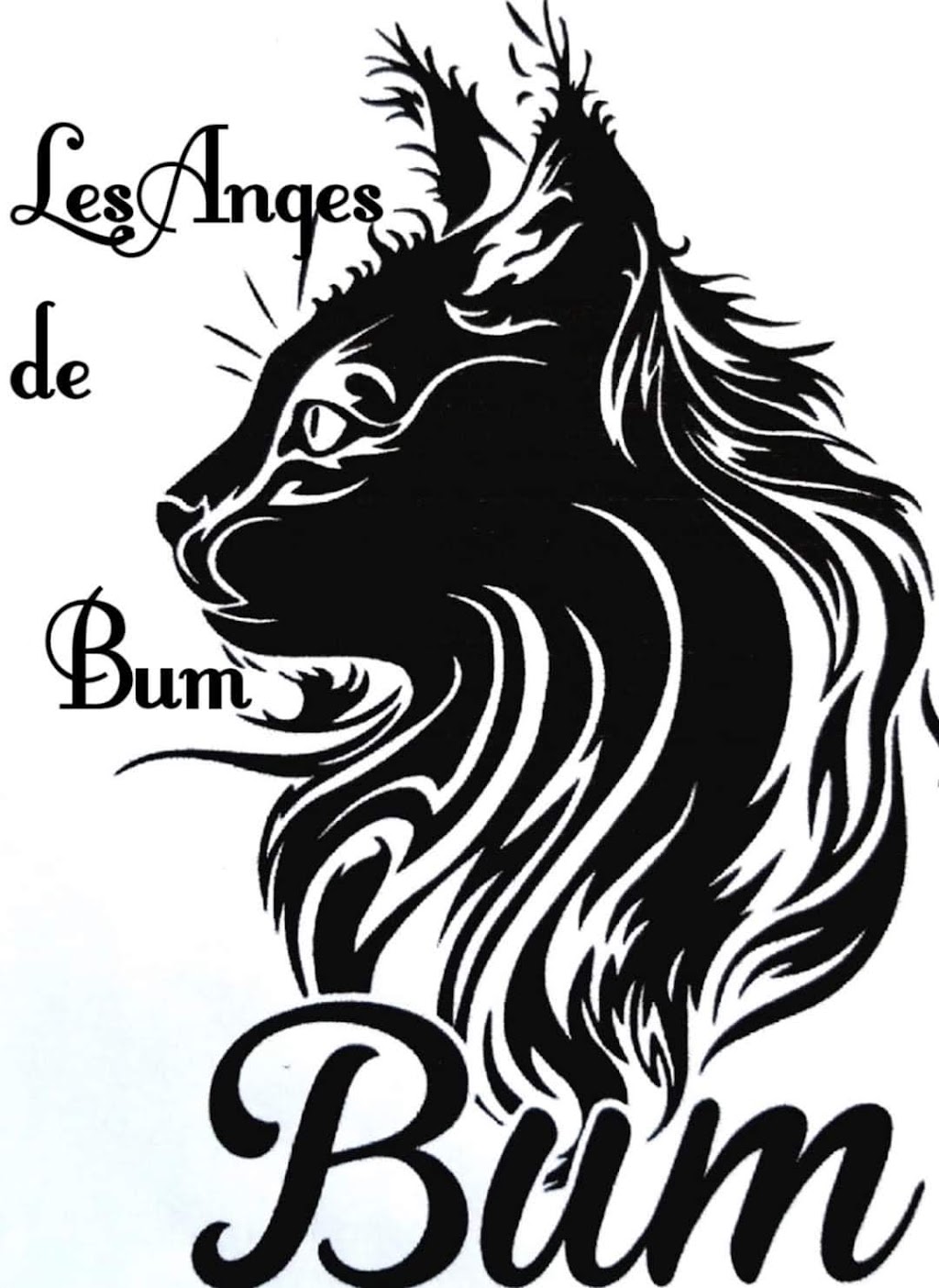 Chatterie Les Anges de Bum | 402 Rue Joseph W. Fleury, Alma, QC G8E 2K8, Canada | Phone: (418) 719-1880