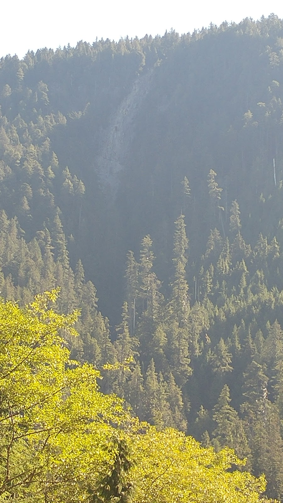 Seymour River Hatchery | Greater Vancouver A, BC V7K, Canada