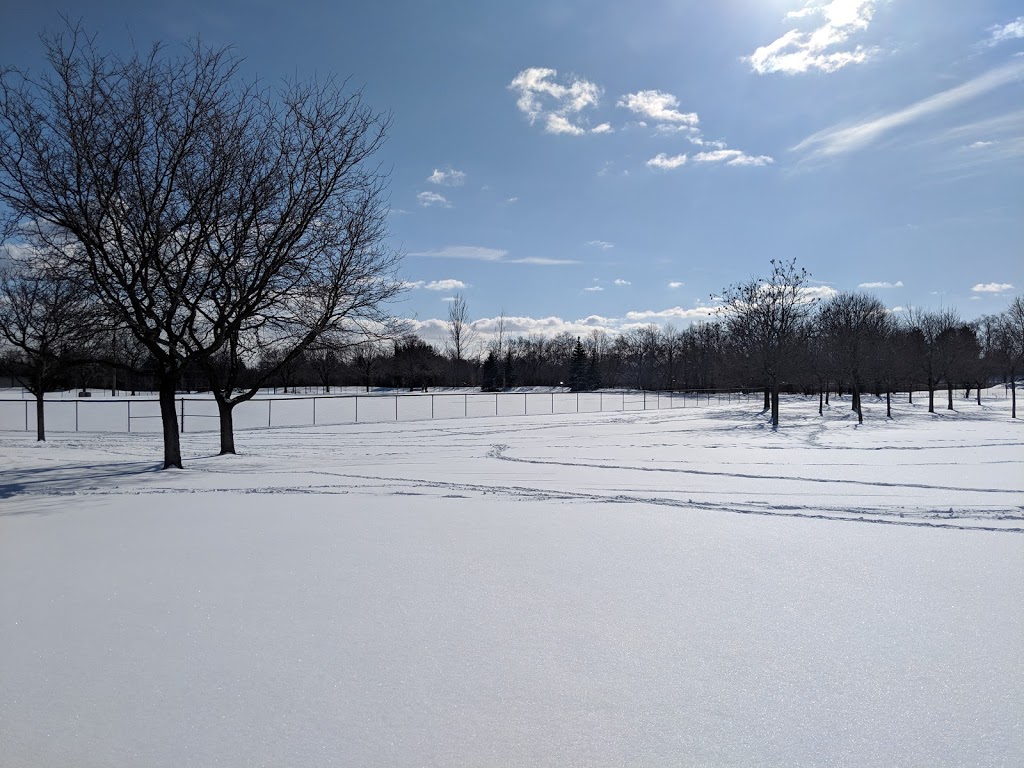 Maple Park and Skateboard Area | 750 Maple Ave, Burlington, ON L7S 2J8, Canada