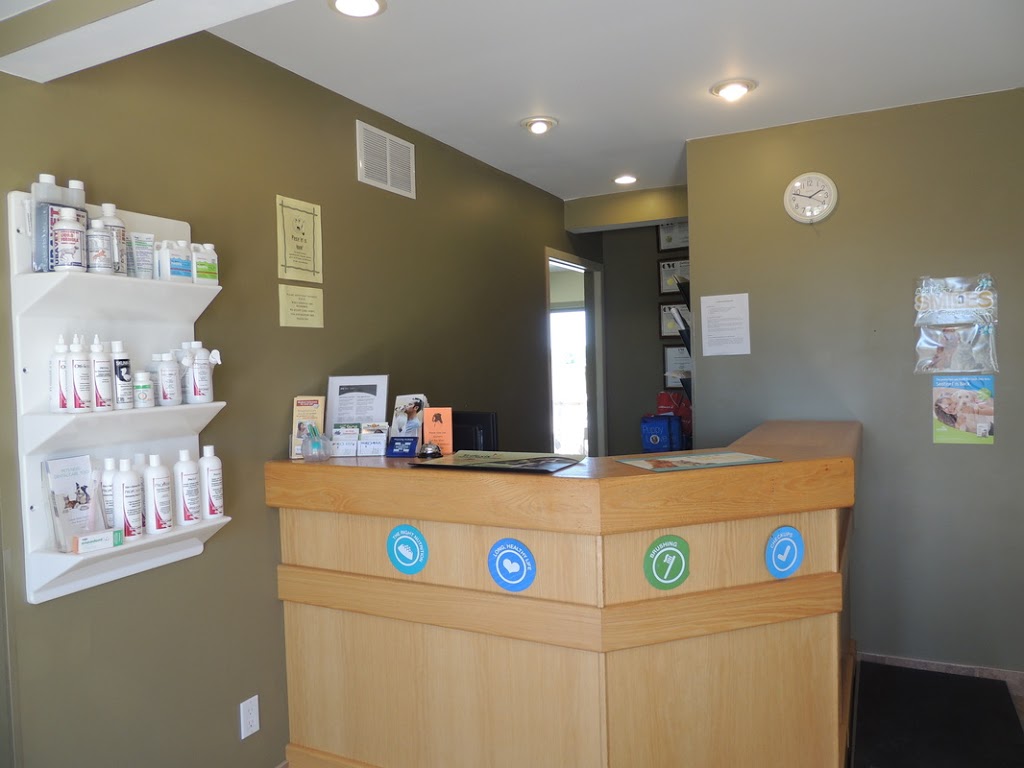 Arthur Veterinary Clinic | 15 Wells St E, Arthur, ON N0G 1A0, Canada | Phone: (519) 848-2536