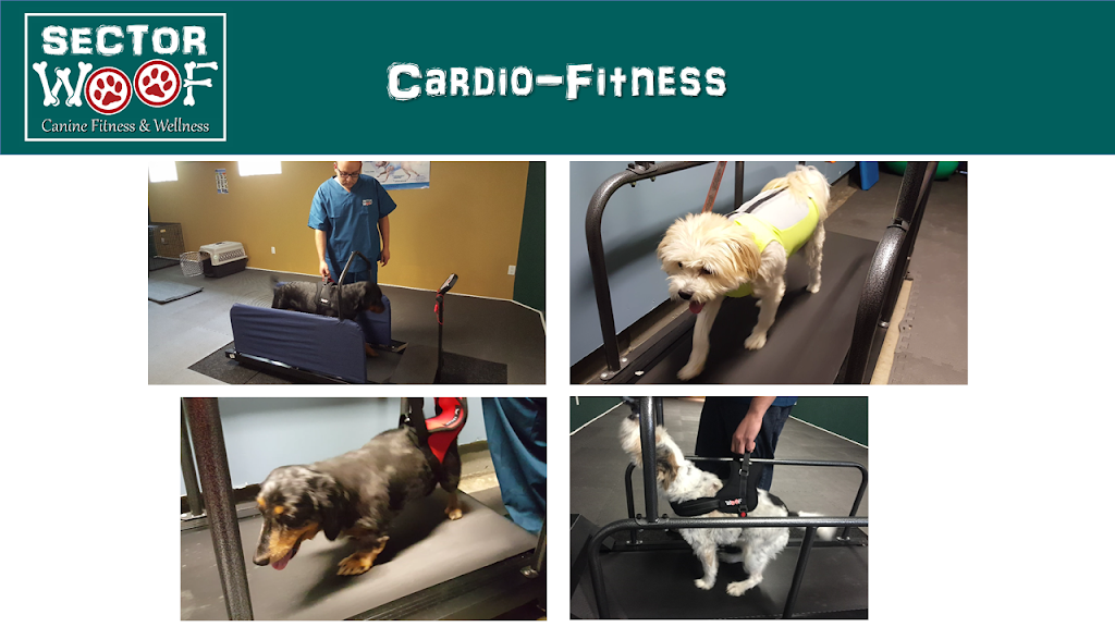 Sector Woof Canine Fitness & Wellness | 695 Bishop St N, Cambridge, ON N3H 2K8, Canada | Phone: (519) 830-3101