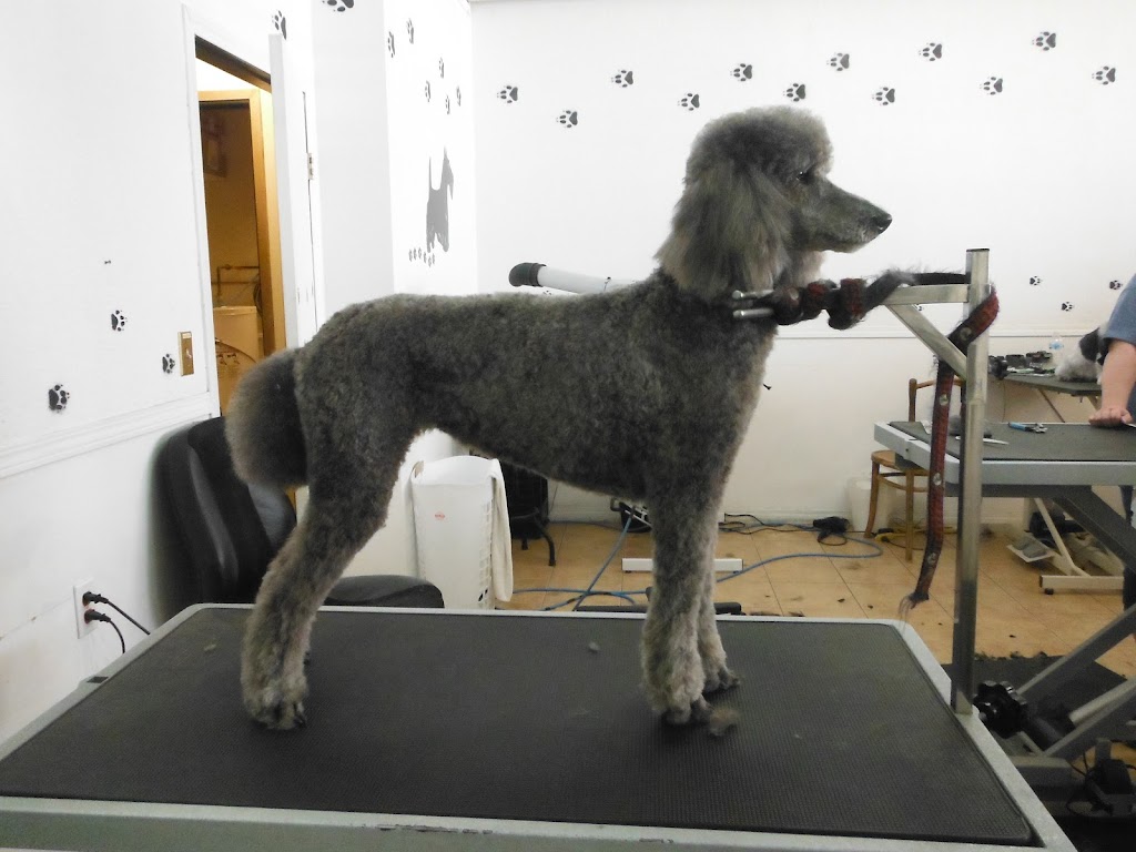 Bubbles Dog Grooming | 1514 9 Ave S, Lethbridge, AB T1J 3A3, Canada | Phone: (403) 329-1231