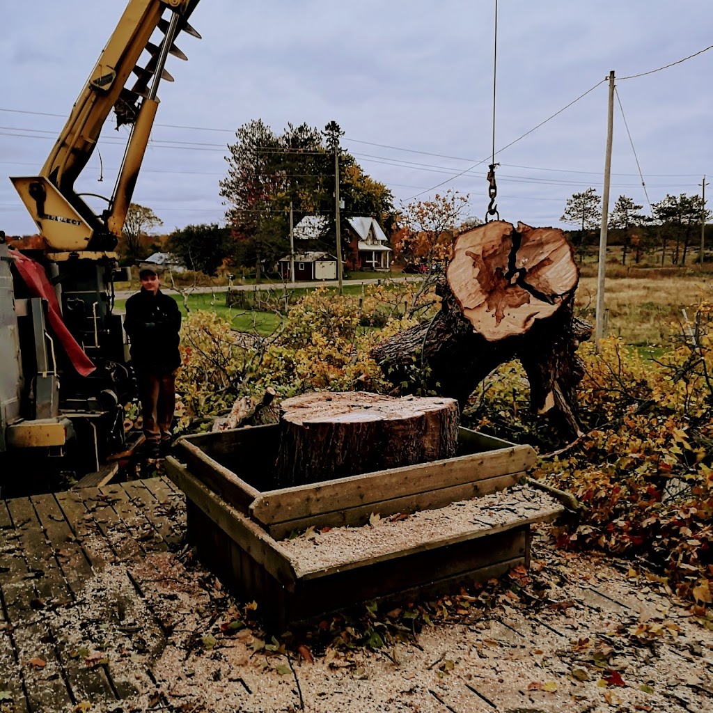 The Great Canadian Tree Service | 37 Peel St, Barrie, ON L4M 3L1, Canada | Phone: (705) 734-8733