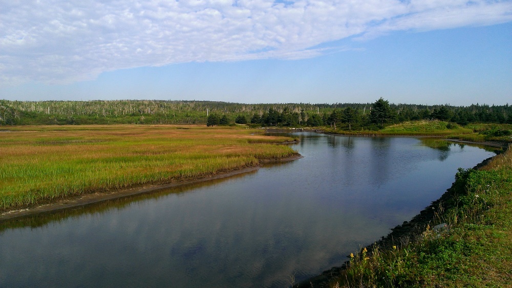 Abbecombec Marshes | Clam Bay, NS B0J 1Y0, Canada