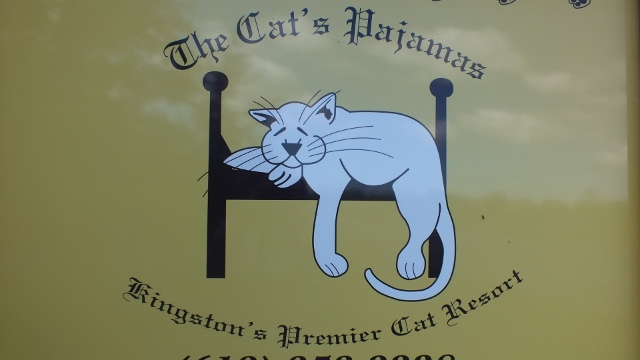 The Cats Pajamas | 4811 Perth Rd, Perth Road, ON K0H 2L0, Canada | Phone: (613) 353-2228