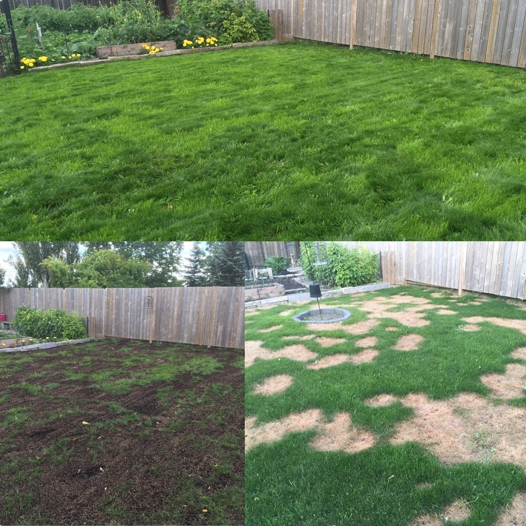 AAA Lawncare | 572 Island Shore Blvd, Winnipeg, MB R3X 2E3, Canada | Phone: (204) 782-5425