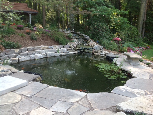 Tranquil Escapes Ponds & Watergardens | 244 Middletown Rd, Hamilton, ON L9H 5E1, Canada | Phone: (647) 225-7959