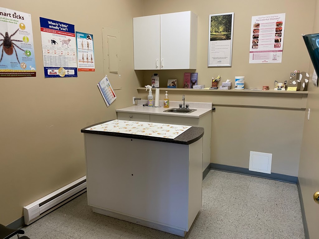 Hôpital Vétérinaire de Shediac Veterinary Hospital | 301-A Main St, Shediac, NB E4P 2A9, Canada | Phone: (506) 532-8081