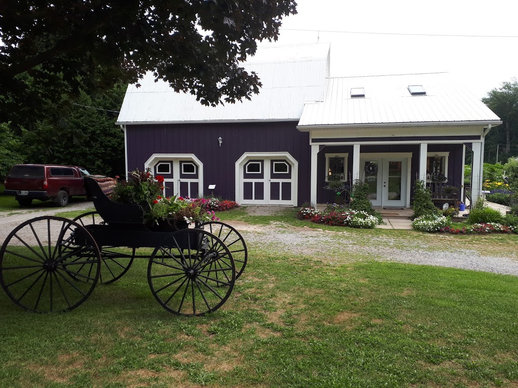 Apple Hill Lavender | 1795 Windham Road 11, Windham Centre, ON N0E 2A0, Canada | Phone: (519) 410-2267