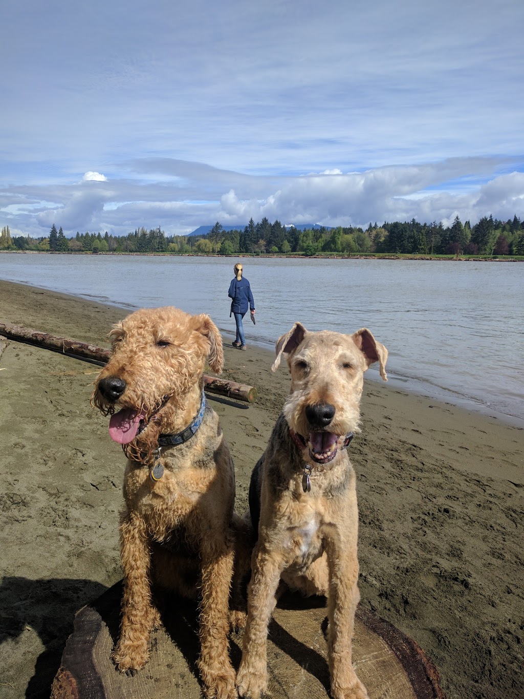 Pirates Cove / McDonald Beach | Richmond, BC, Canada