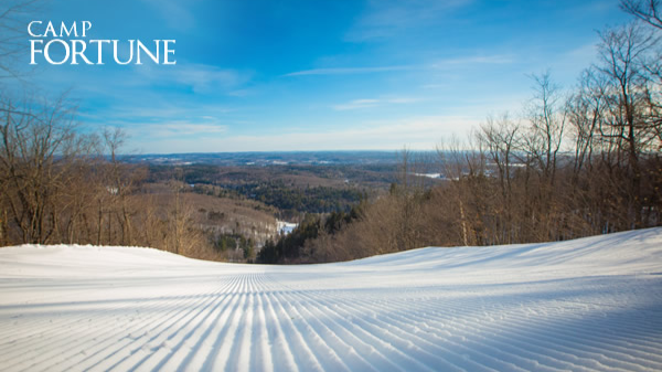 Camp Fortune Ski Aerial Park and Ziplines | 300 Chemin Dunlop, Parc de la Gatineau Park, Chelsea, QC J9B 2N3, Canada | Phone: (819) 827-1717