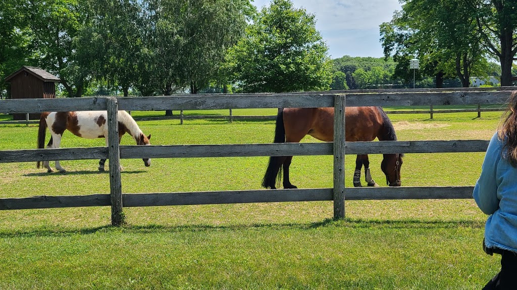 CREW - Colchester Ridge Estate Winery | 108 Essex County Rd 50, Harrow, ON N0R 1G0, Canada | Phone: (519) 738-9800