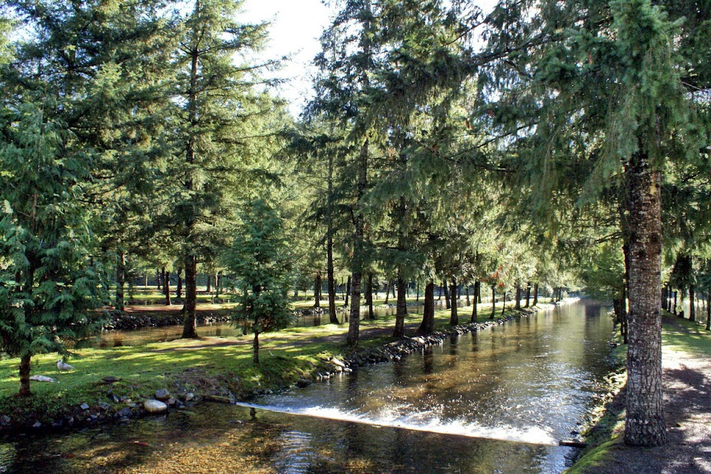 Weaver Creek Spawning Channel | 17780 Morris Valley Rd, Agassiz, BC V0M 1A1, Canada | Phone: (604) 796-9444