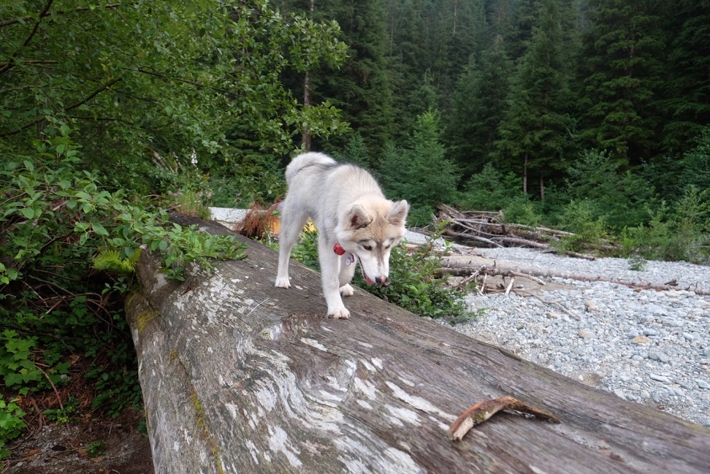 Halfmoon Beach | Fraser Valley F, BC V0M, Canada