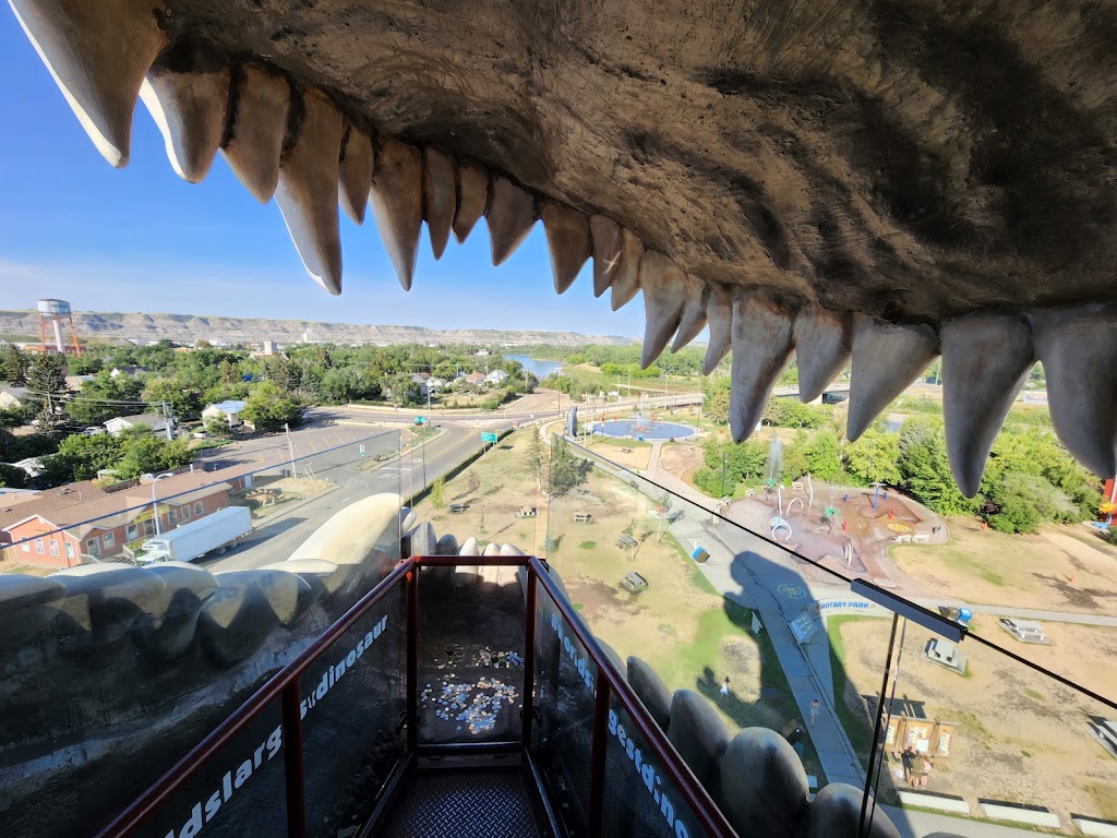 Worlds Largest Dinosaur | 60 1 Ave W, Drumheller, AB T0J 0Y0, Canada | Phone: (866) 823-8100