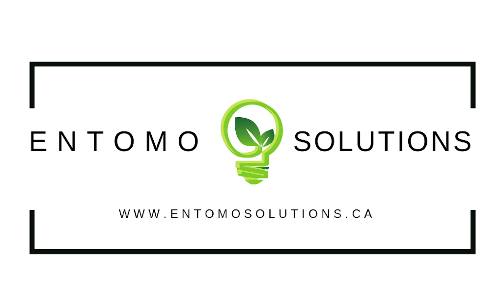 Entomo Solutions inc. | 1400, Du, Rue du Haut-Fourneau, Trois-Rivières, QC G8Y 7P3, Canada | Phone: (819) 944-4463