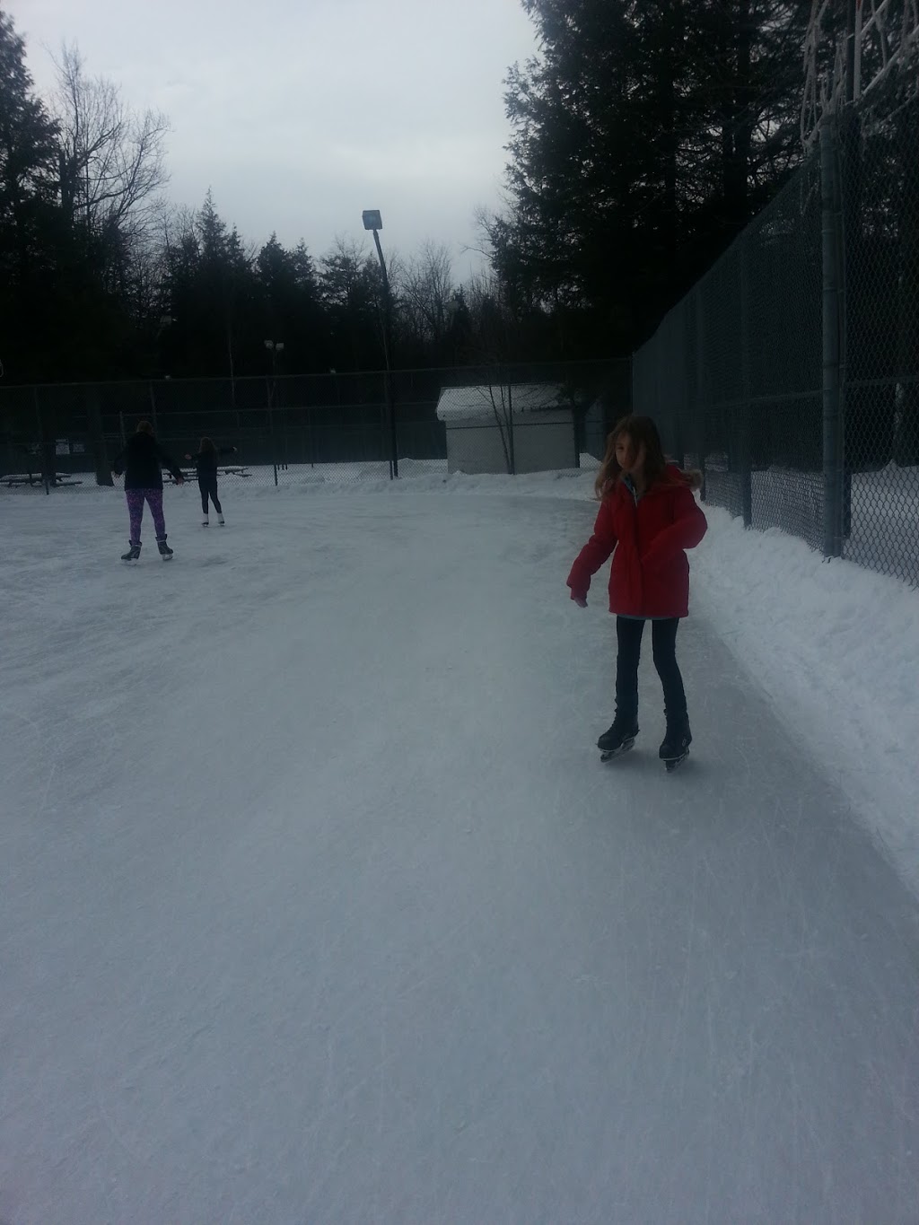 Oakwood Outdoor Skating Rink | 1724 Mosley St, Wasaga Beach, ON L0L 2P0, Canada | Phone: (705) 429-2414