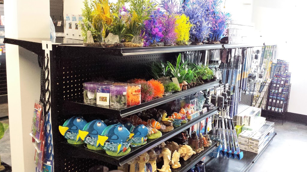 Oasis Fish & Reptile Ltd. | 8 Riel Dr #6, St. Albert, AB T8N 3Z7, Canada | Phone: (780) 458-0039