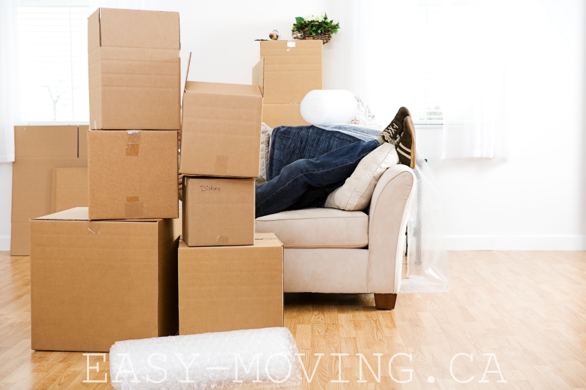 Trans Moving Newmarket | 738 Srigley St, Newmarket, ON L3Y 1X5, Canada | Phone: (416) 520-3575