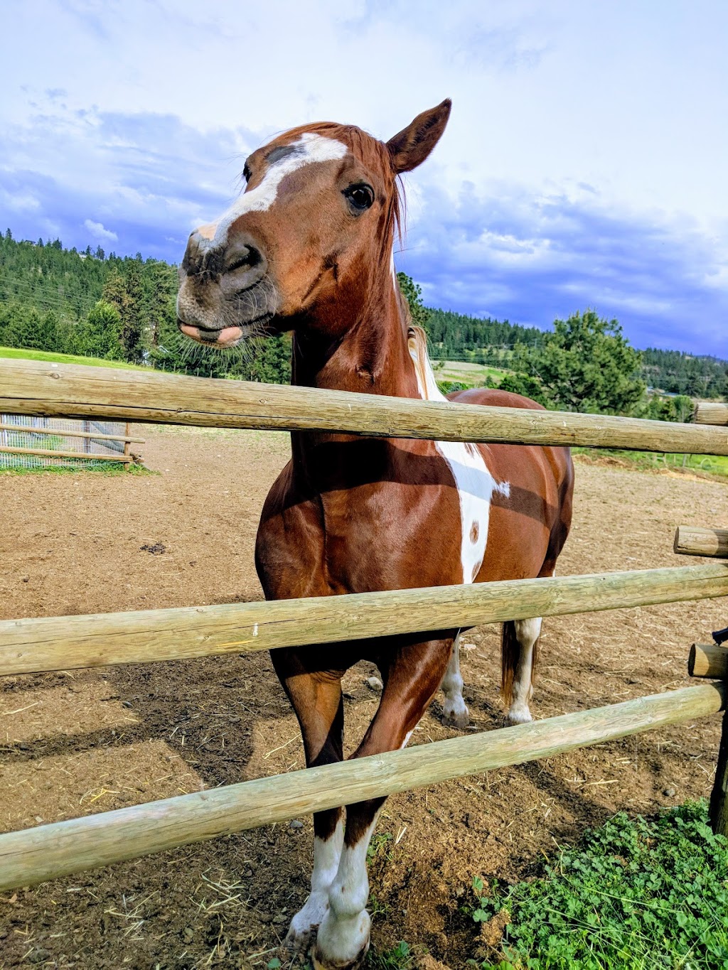 Hoof Prints Barnyard Petting Zoo & Goga Venue | 5850 Anderson Rd, Kelowna, BC V1X 7V3, Canada | Phone: (250) 317-6650