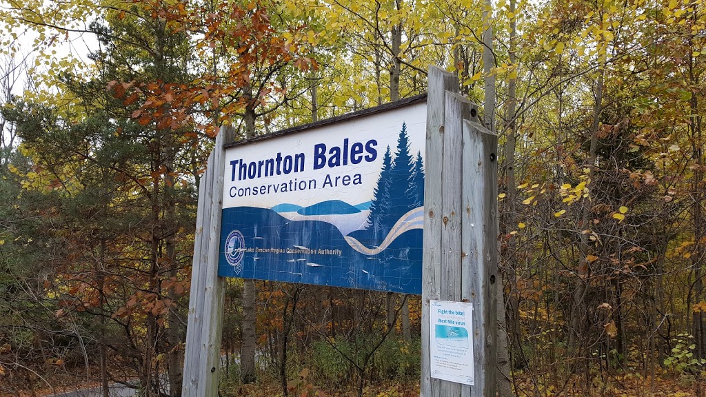 Thornton Bales Conservation Area | 19th Sideroad, King, ON L7B 1K5, Canada | Phone: (905) 895-1281