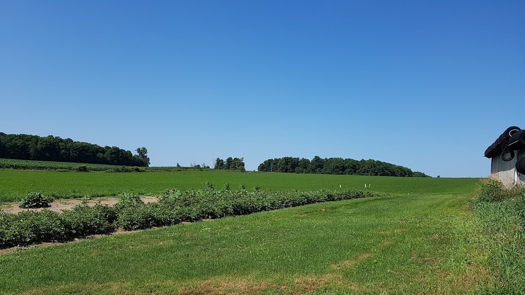 Orange Blossom Farm | 1290 Martin Creek Rd, Waterloo, ON N2J 3Z4, Canada | Phone: (519) 664-1237