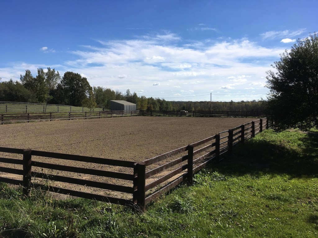 Willow Way Farm | 3887 Weimar Line, Wellesley, ON N0B 2T0, Canada | Phone: (519) 502-1010