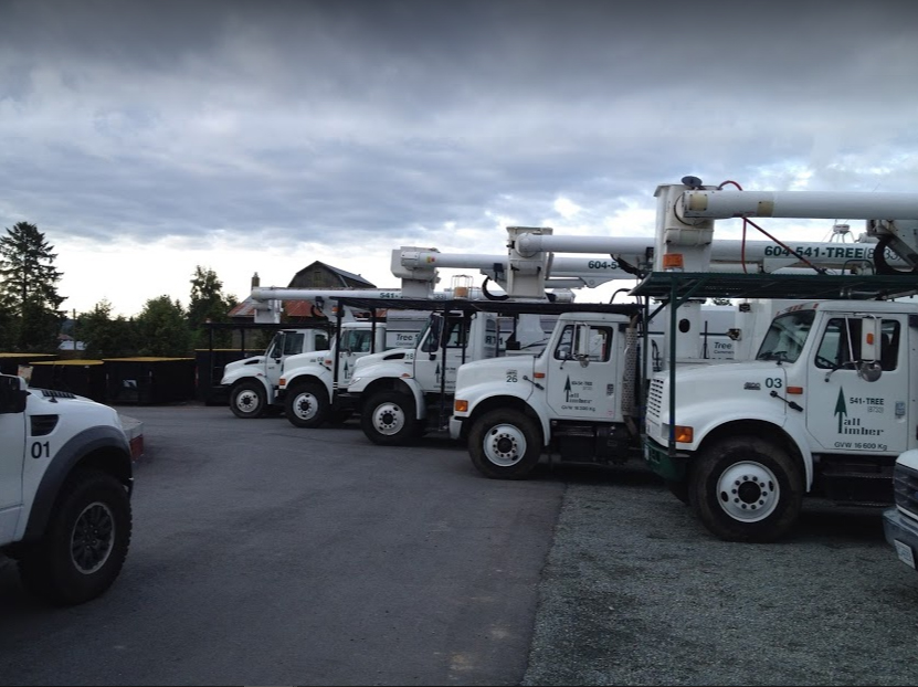 Tall Timber Tree Services - North Delta | 11738 Caribou Rd, Delta, BC V4E 2B2, Canada | Phone: (604) 541-8733