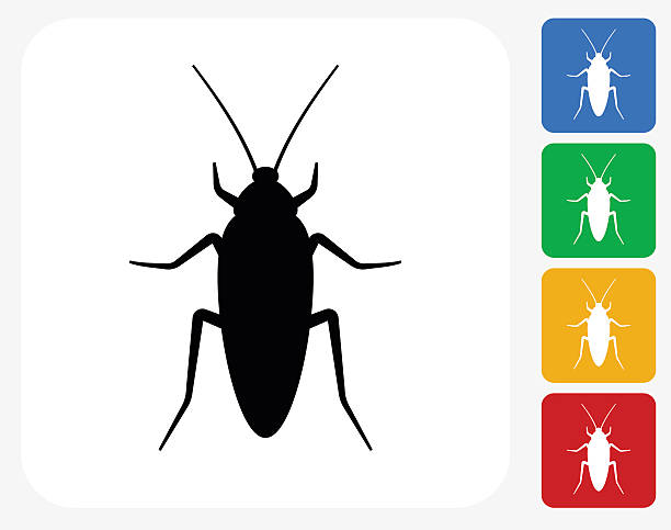 Y & T Pest Control Brampton | 1 Bartley Bull Pkwy, Brampton, ON L6W 3T7, Canada | Phone: (289) 274-9592