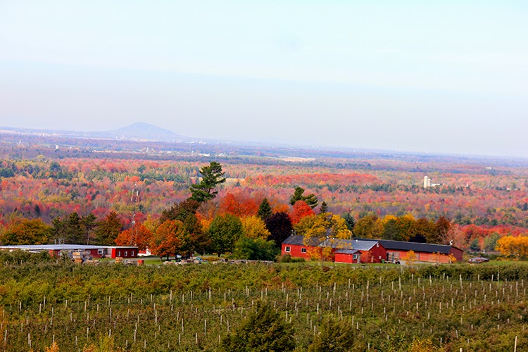 Les Vergers Tougas | 4679 Chemin Godbout, Dunham, QC J0E 1M0, Canada | Phone: (450) 295-2083