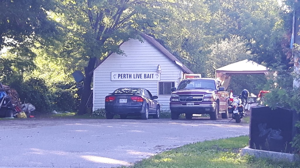 Perth Live Bait | 173 Dufferin Rd, Perth, ON K7H 3B4, Canada | Phone: (613) 267-0401