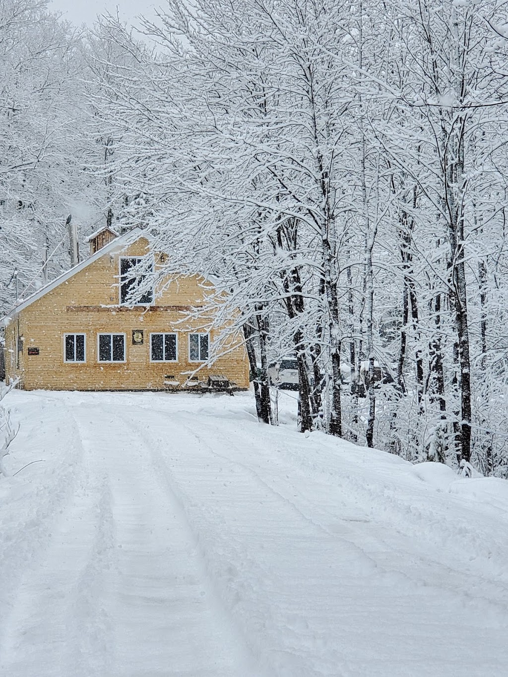 Cabane à Sucre la Martine | 184 Chemin Beauchesne, Saint-Romain, Quebec, QC G0Y 1L0, Canada | Phone: (819) 237-4701