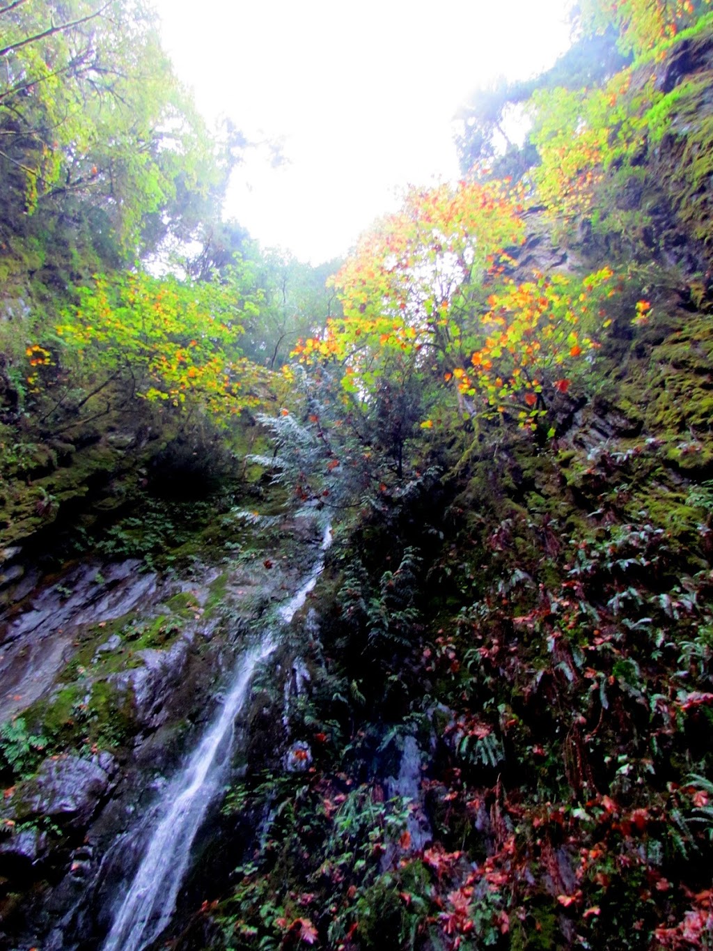 Niagara Falls | Langford, BC V0R, Canada