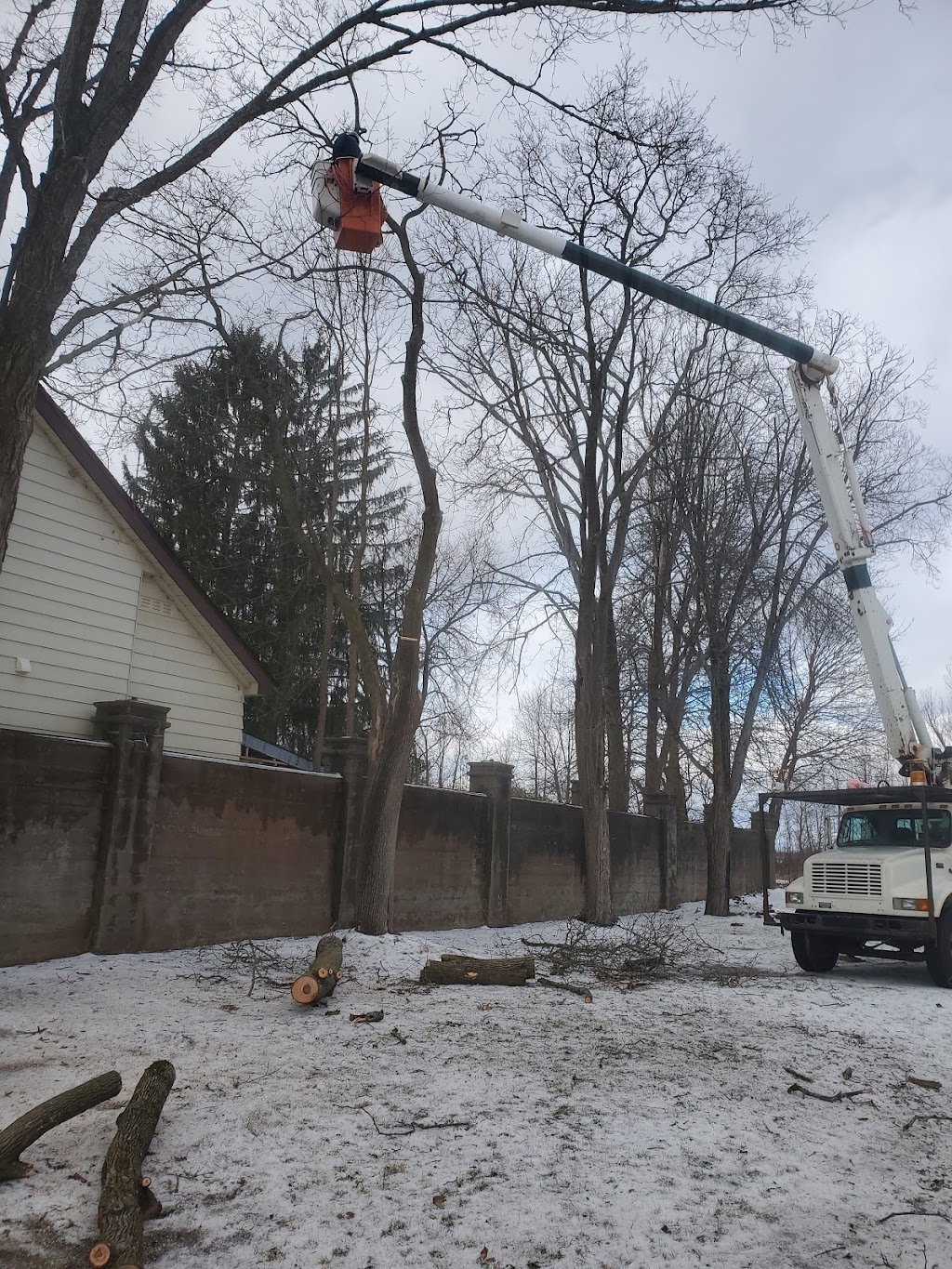 OBrien tree service | 260 Douro 3rd Line, Douro, ON K0L 2H0, Canada | Phone: (705) 741-9925