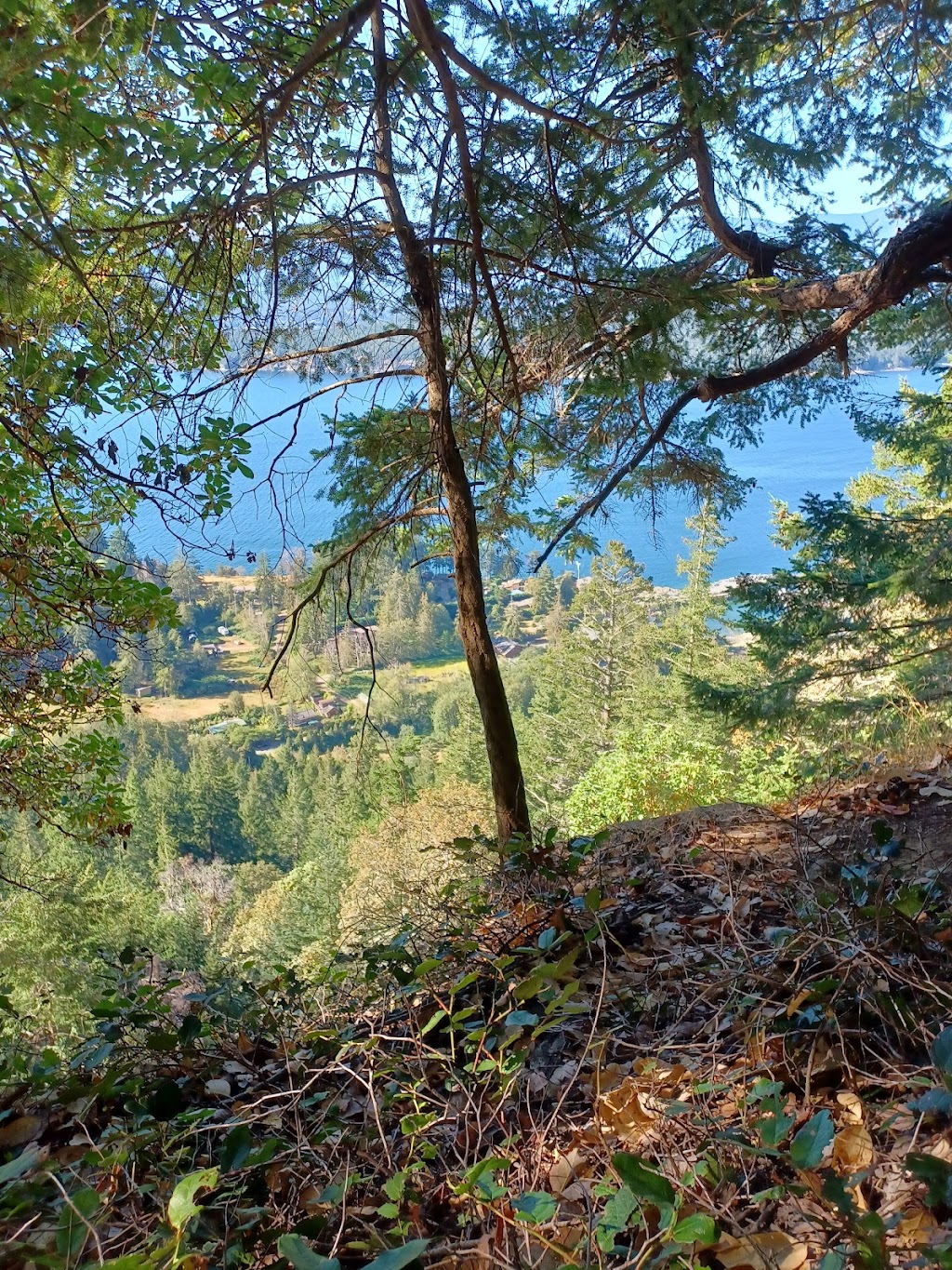 Mount Geoffrey Escarpment Provincial Park | Hwy 19, Hornby Island, BC V0R 1Z0, Canada | Phone: (800) 689-9025