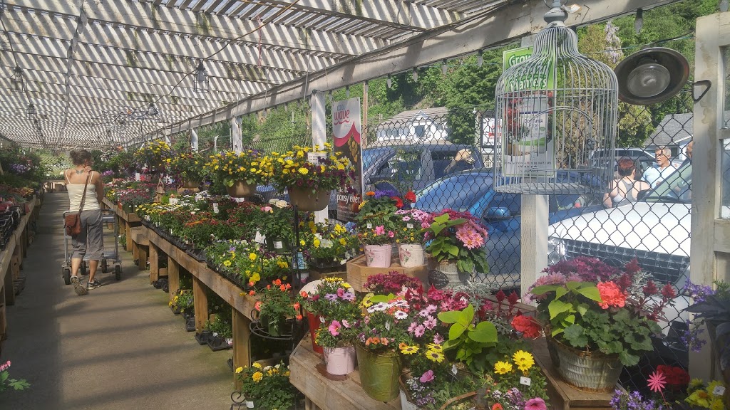 Little Mountain Greenhouses & Florist | 47558 Yale Rd, Chilliwack, BC V2P 7N1, Canada | Phone: (604) 792-7888