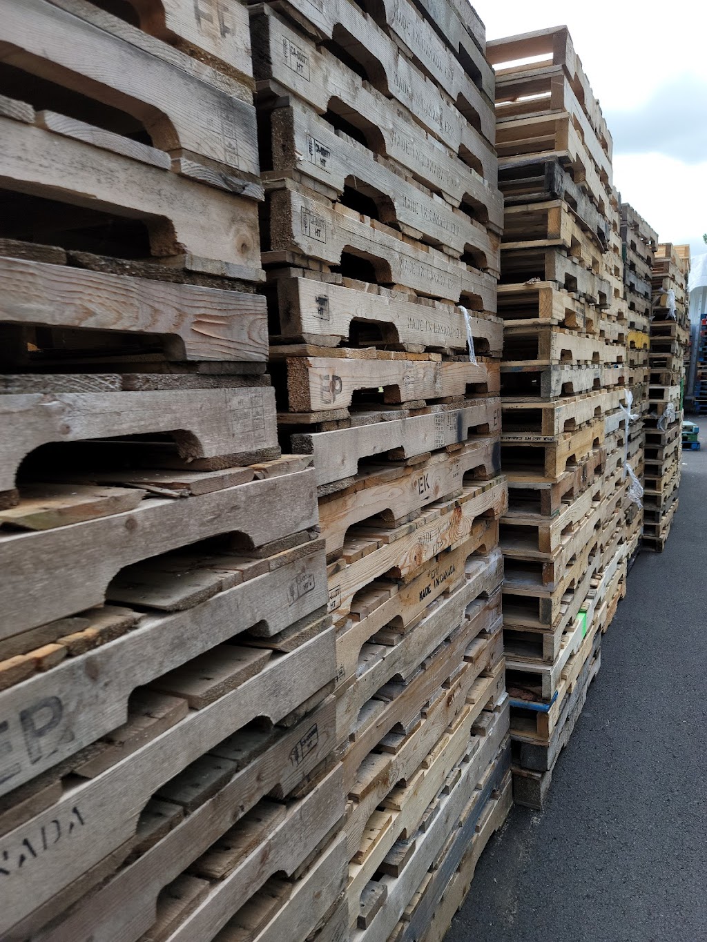 All Pallet Supplies inc | 7181 264 St, Langley Twp, BC V4W 1P8, Canada | Phone: (604) 613-4062