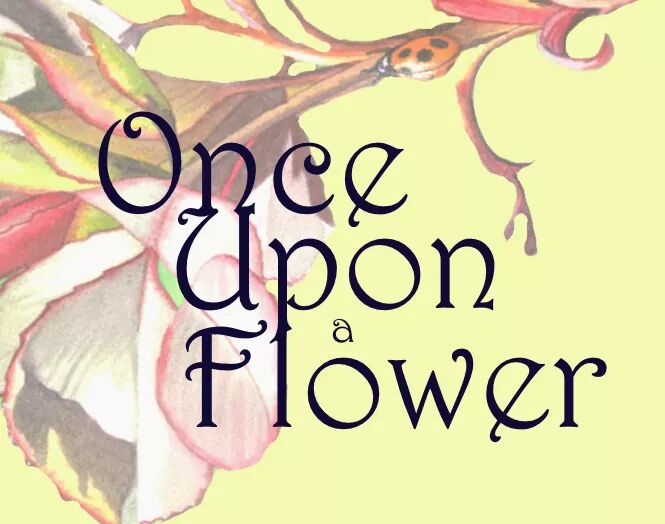 Once Upon A Flower | 510 1 Ave, Beiseker, AB T0M 0G0, Canada | Phone: (403) 464-5442