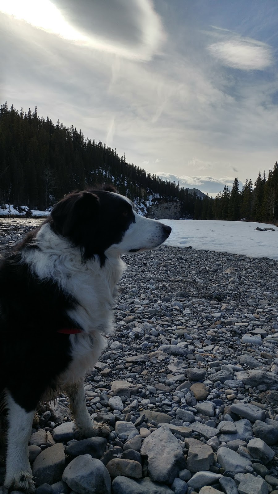 Elbow River Launch - Provincial Recreation Area | Kananaskis, AB T0L 0K0, Canada | Phone: (403) 949-4261