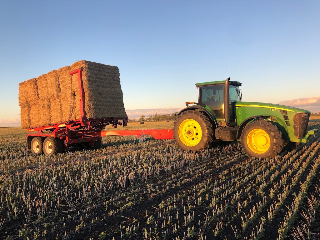 Borderland Hay & Straw | Plum Coulee, MB R0G 1R0, Canada | Phone: (204) 312-0063