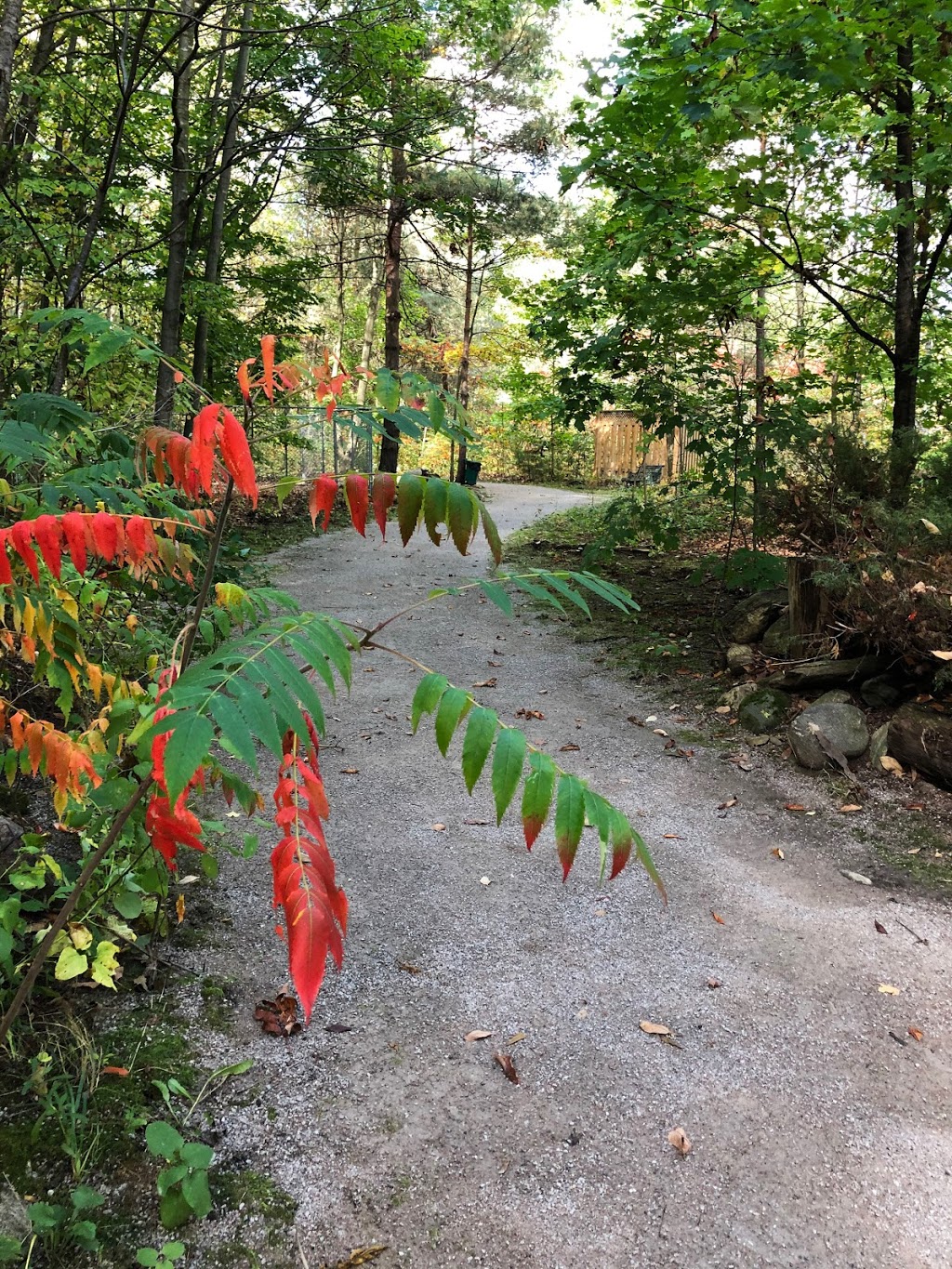 Maple Trails Boarding Kennel | 4278 Hogg Valley Rd, Victoria Harbour, ON L0K 2A0, Canada | Phone: (705) 534-3300